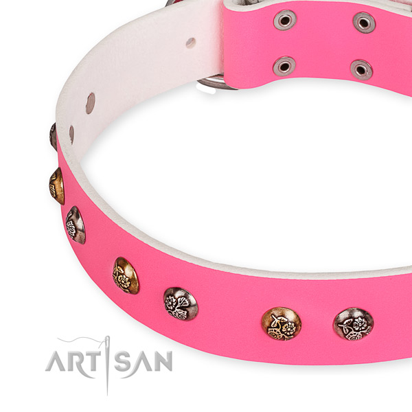 Full grain leather dog collar with stunning durable studs