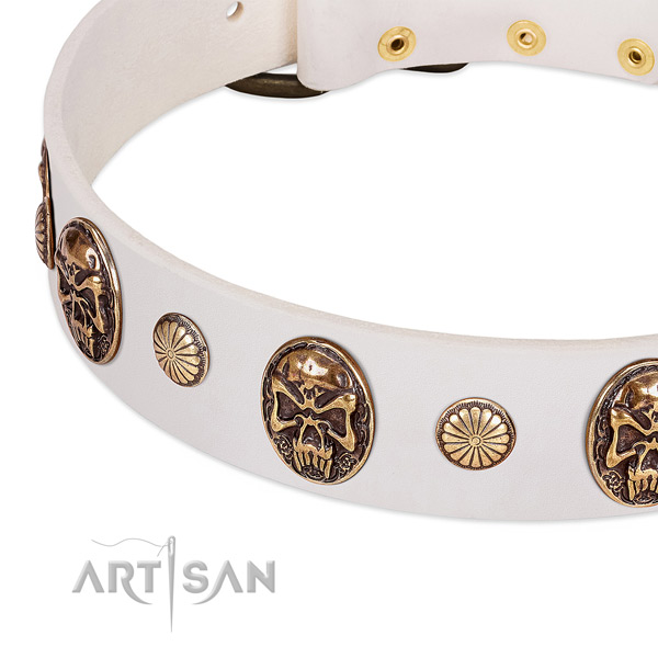 Durable embellishments on full grain leather dog collar for your doggie