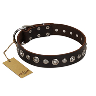 "Gorgeous Shields" FDT Artisan Brown Leather Boxer Collar with Old Silver-like Circles and Small Camomiles