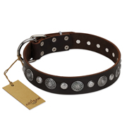 "Victory Ode" FDT Artisan Brown Leather Boxer Collar with Silver-like Plated Decorations