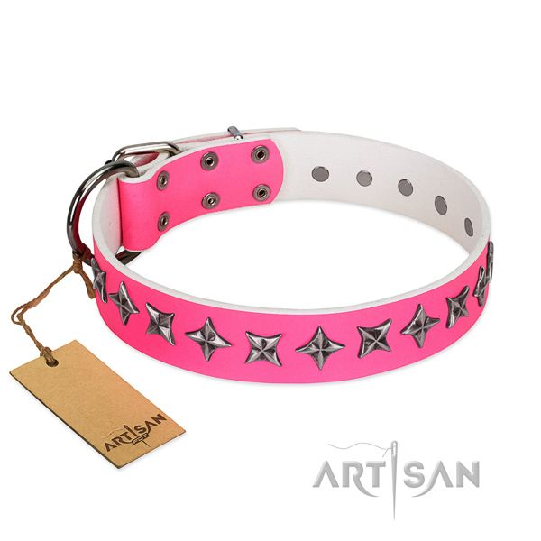 Strong full grain leather dog collar with unique adornments