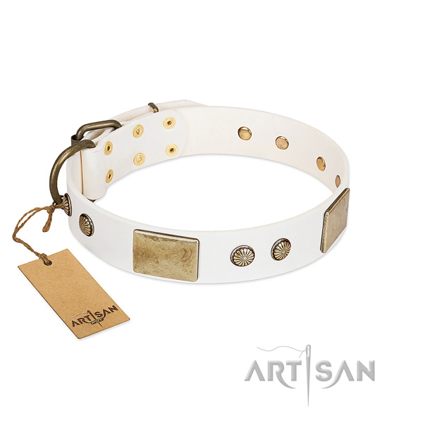 Adjustable full grain genuine leather dog collar for basic training your canine