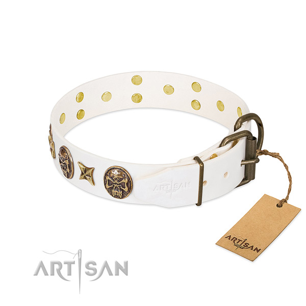 Durable fittings on genuine leather collar for fancy walking your dog