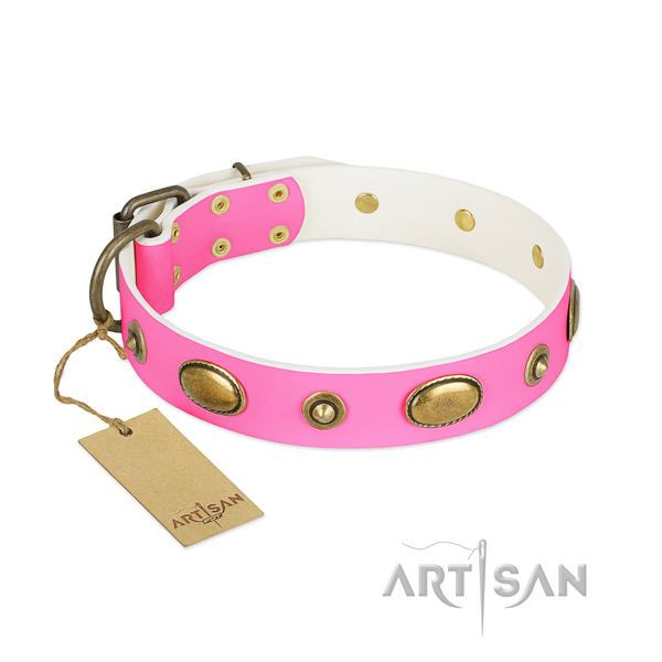 Impressive full grain genuine leather collar for your canine