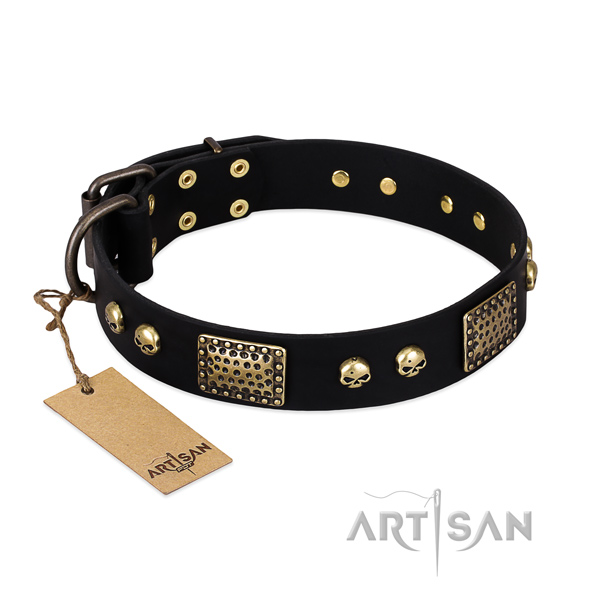 Adjustable full grain natural leather dog collar for stylish walking your four-legged friend