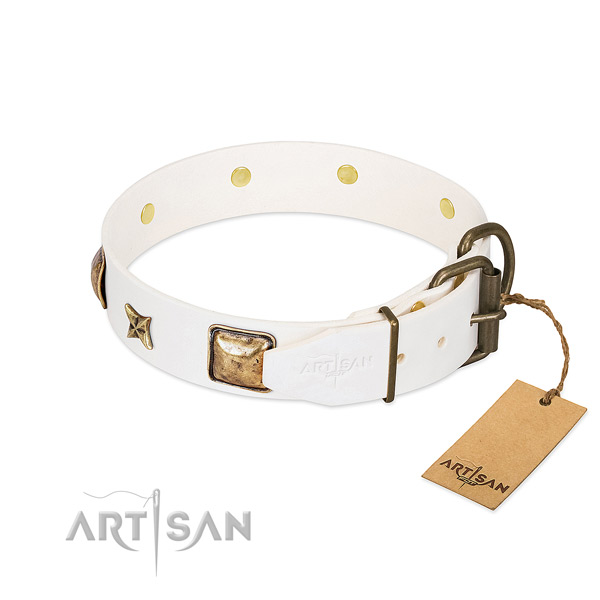 Full grain leather dog collar with strong buckle and embellishments