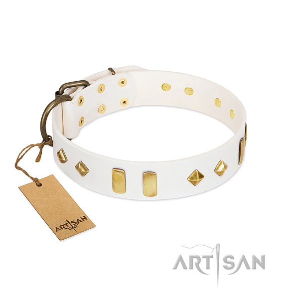 Daily walking flexible natural leather dog collar with embellishments