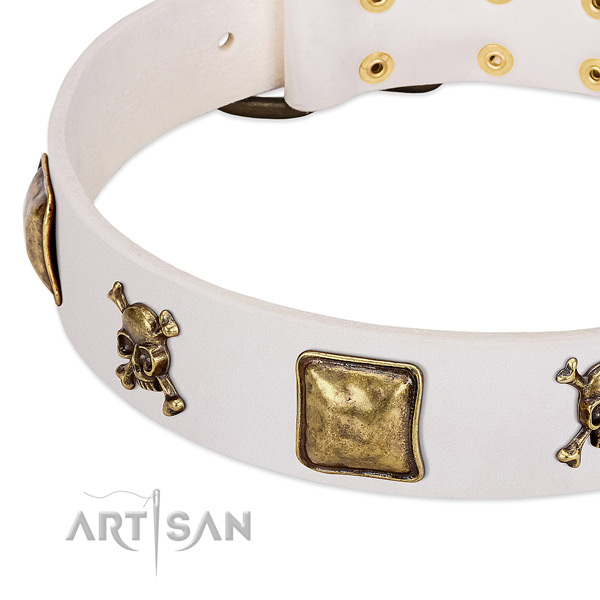 Exceptional full grain genuine leather dog collar with rust resistant decorations