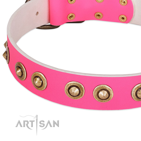 Rust resistant studs on full grain natural leather dog collar for your four-legged friend