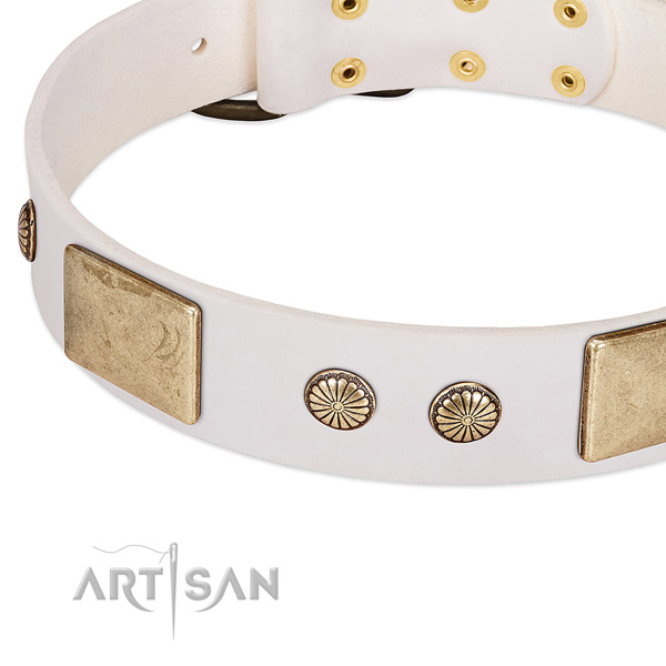 Reliable studs on natural leather dog collar for your pet