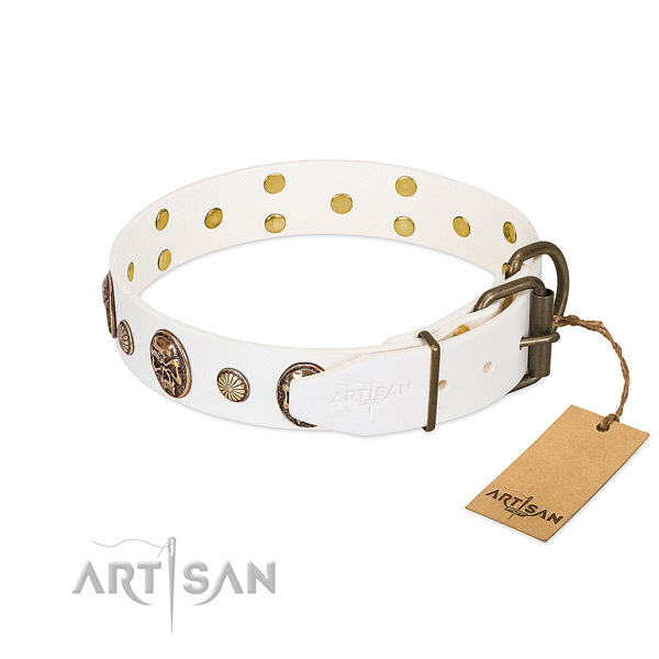 Strong hardware on full grain leather collar for walking your doggie