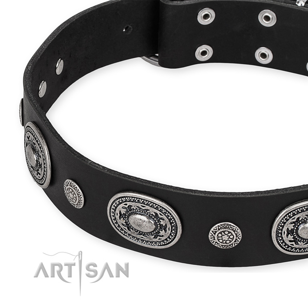 High quality full grain genuine leather dog collar handcrafted for your handsome doggie