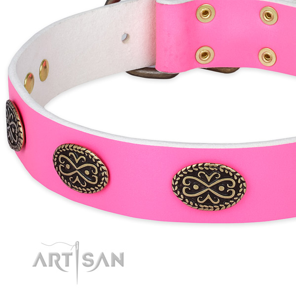 Full grain genuine leather dog collar with embellishments for stylish walking