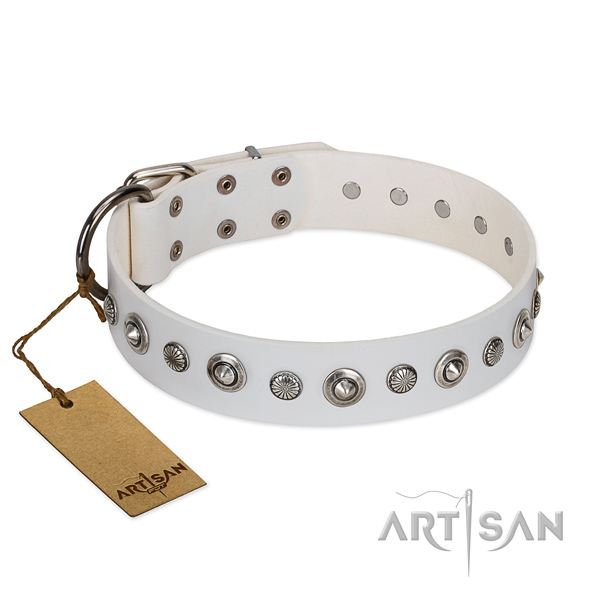 Reliable full grain genuine leather dog collar with impressive embellishments