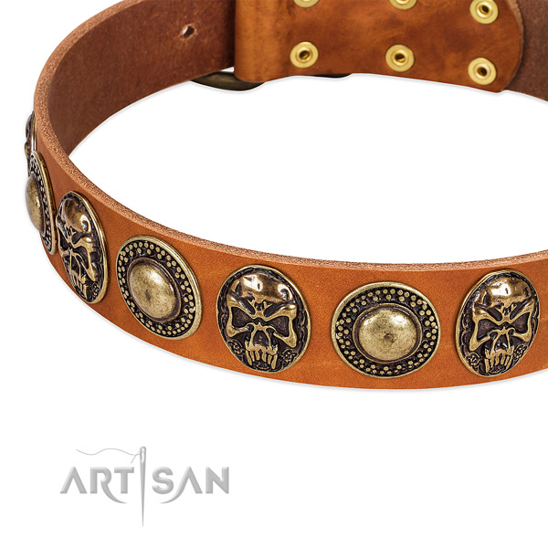 Reliable buckle on leather dog collar for your four-legged friend