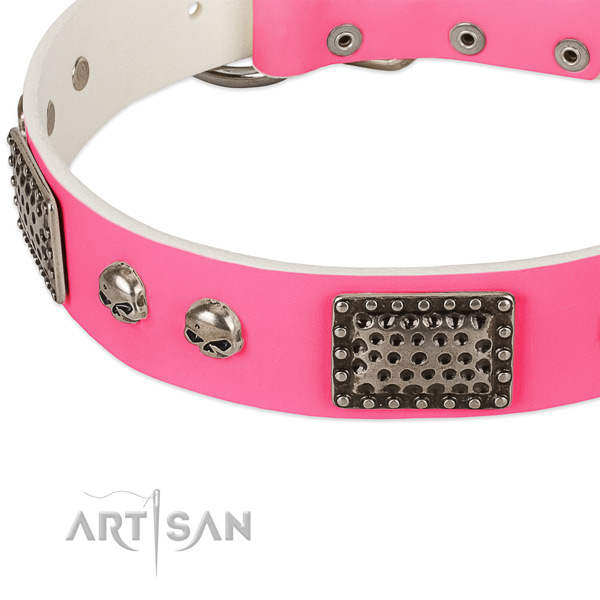 Rust-proof studs on natural leather dog collar for your doggie