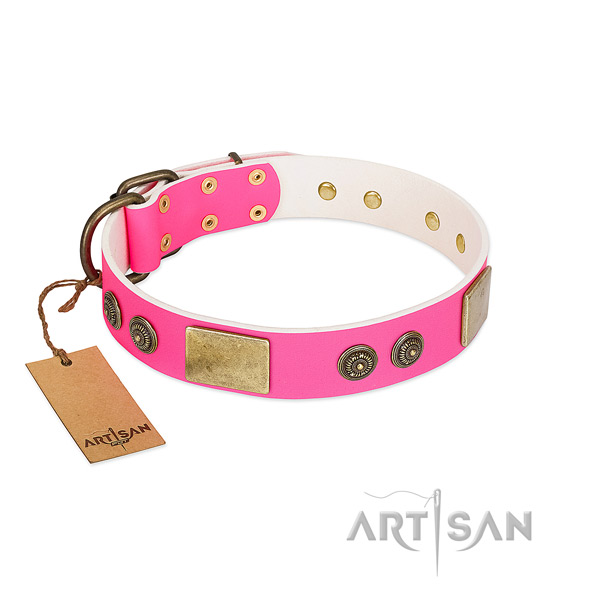 Studded natural genuine leather dog collar for daily walking