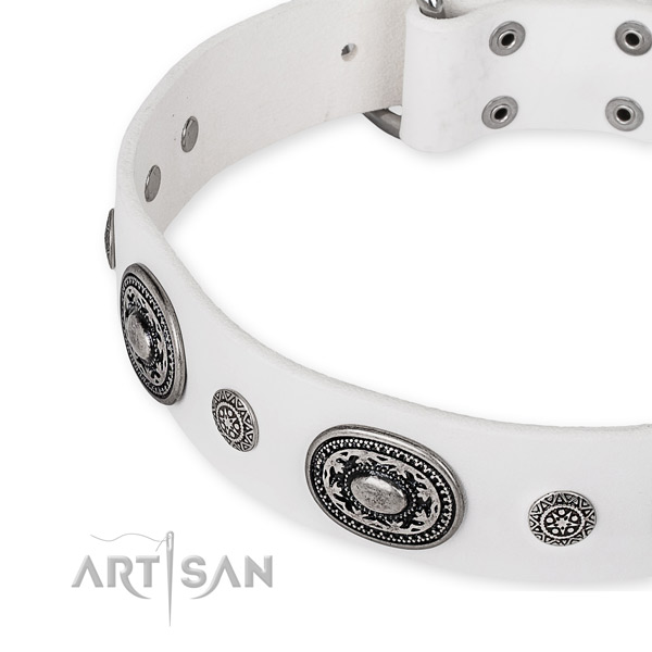 Reliable full grain genuine leather dog collar handmade for your beautiful canine