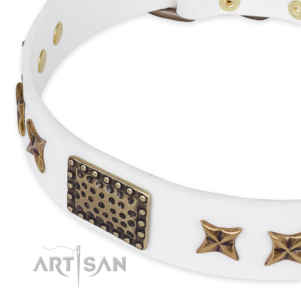 Full grain genuine leather collar with reliable fittings for your attractive dog