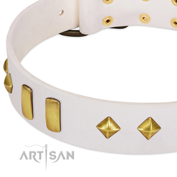 Soft to touch full grain natural leather dog collar with reliable hardware
