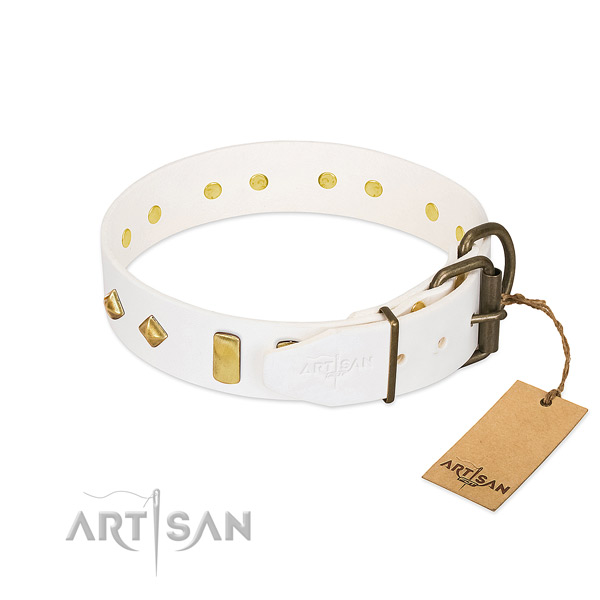 Top notch leather dog collar with corrosion proof buckle
