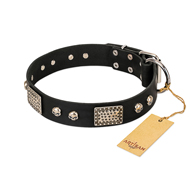 "Pirates Gold" FDT Artisan Black Leather Boxer Collar with Old Silver Look Plates and Skulls