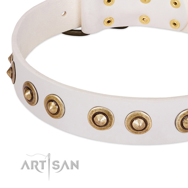 Durable adornments on natural leather dog collar for your doggie