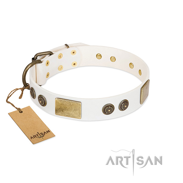 Stunning natural genuine leather dog collar for comfortable wearing