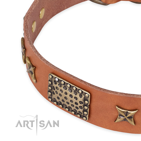 Genuine leather collar with durable D-ring for your handsome pet