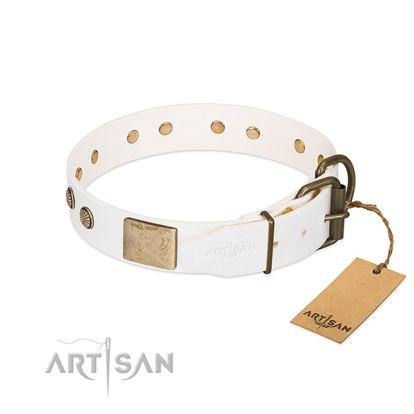 Rust resistant studs on comfortable wearing dog collar