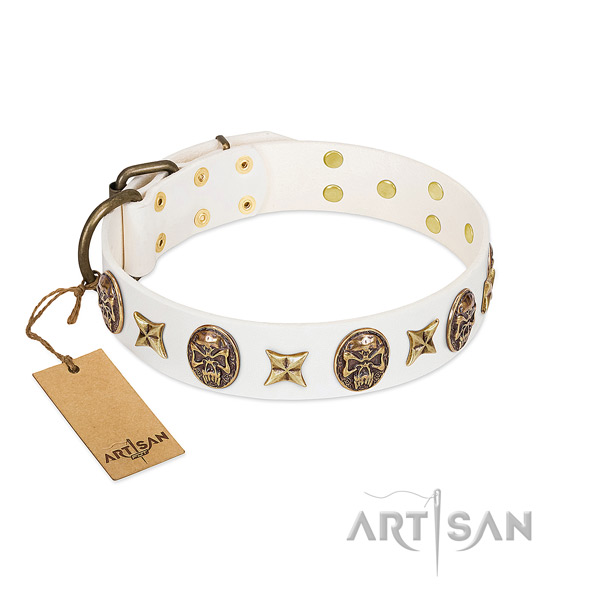 Exceptional full grain leather dog collar for everyday use