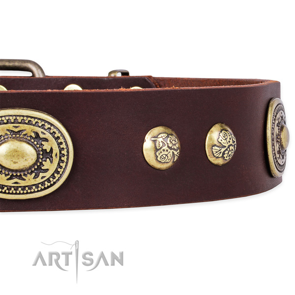 Top quality full grain genuine leather collar for your handsome four-legged friend