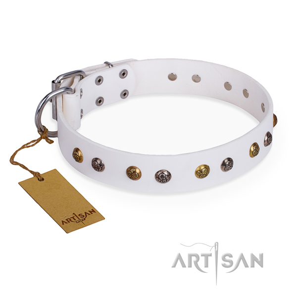Easy wearing extraordinary dog collar with reliable buckle