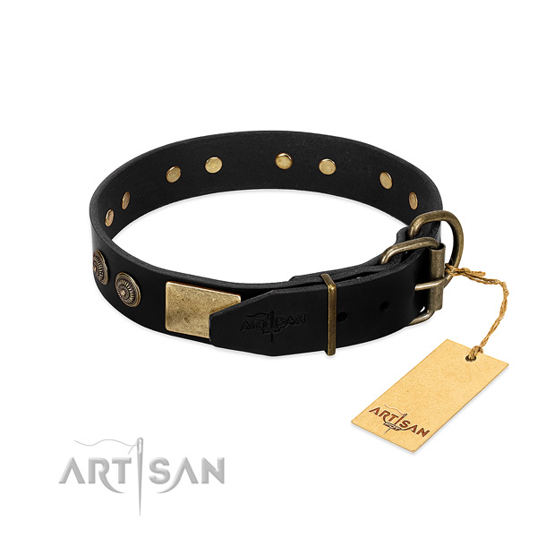 Corrosion proof traditional buckle on full grain leather dog collar for your pet