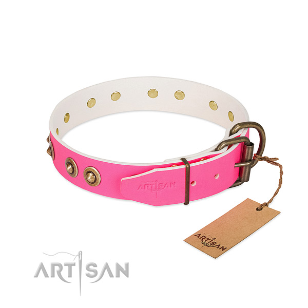 Genuine leather dog collar with durable D-ring and embellishments