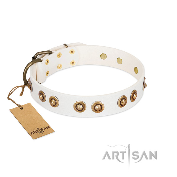 Best quality natural leather collar for your dog