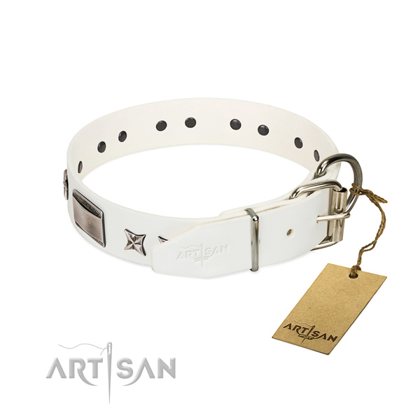 Embellished collar of leather for your stylish canine
