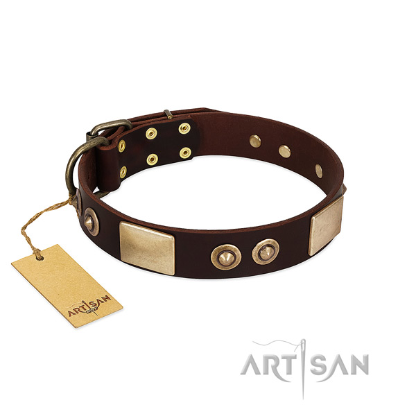 Easy to adjust genuine leather dog collar for basic training your dog