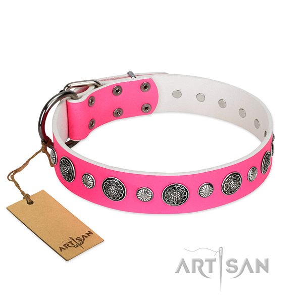 Reliable leather dog collar with corrosion resistant hardware