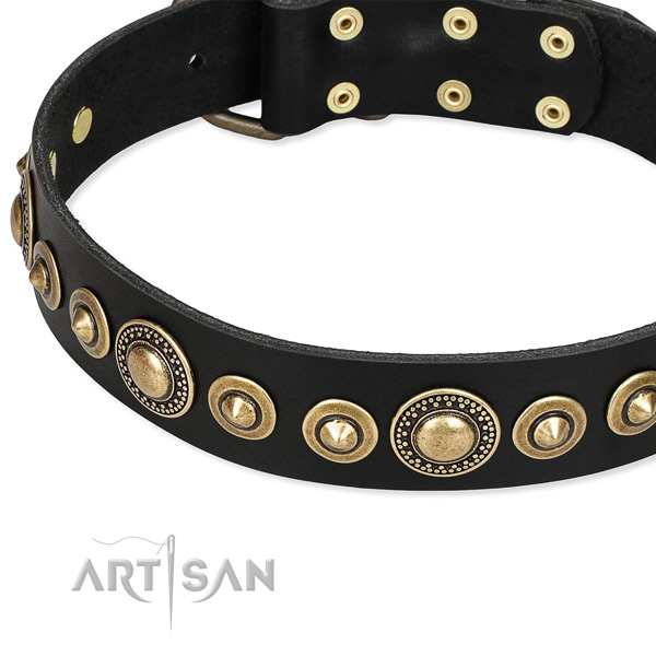 Reliable leather dog collar made for your impressive dog