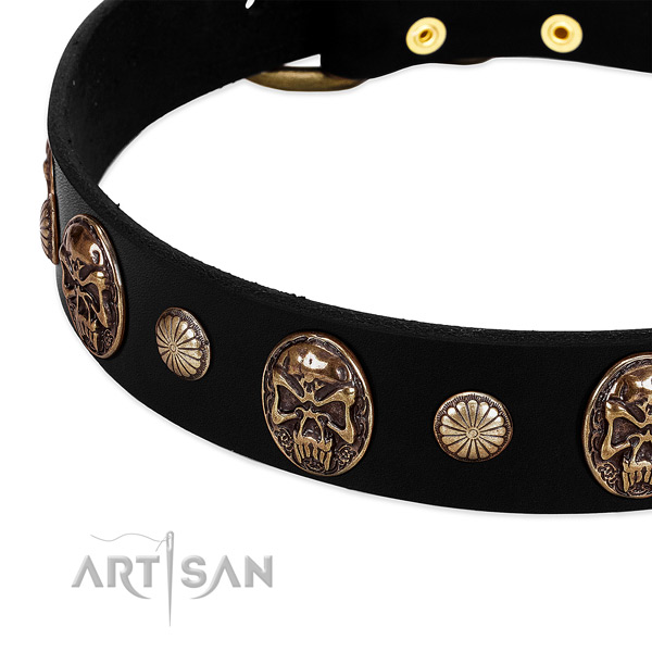 Full grain leather dog collar with unique studs