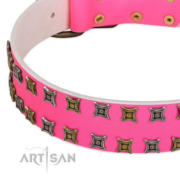 Leather dog collar with inimitable embellishments