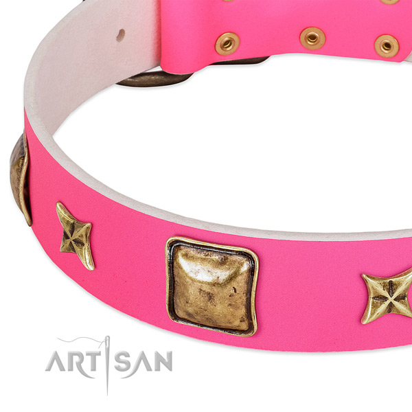 Leather dog collar with unusual adornments