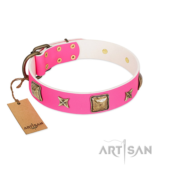 Full grain genuine leather dog collar of high quality material with top notch adornments