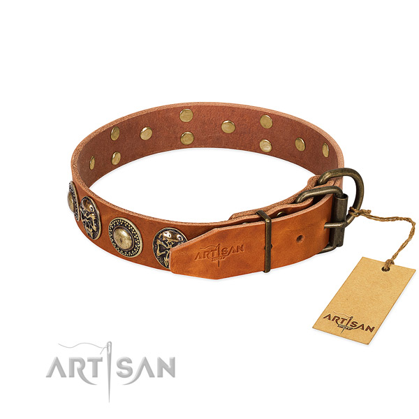 Corrosion proof buckle on comfy wearing dog collar