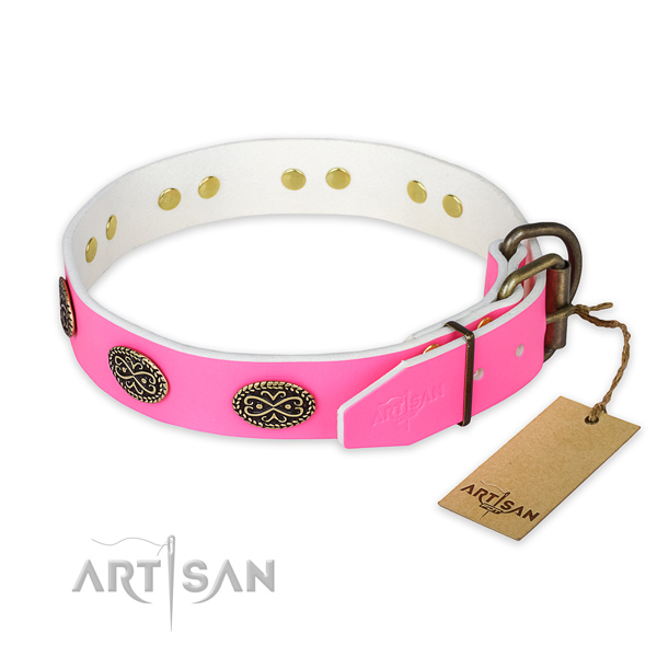 Strong embellishments on handy use dog collar