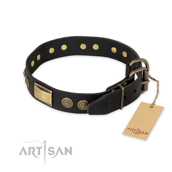 Corrosion proof traditional buckle on leather collar for walking your pet