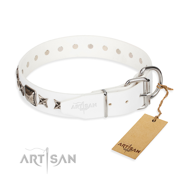 Top quality studded dog collar of natural leather