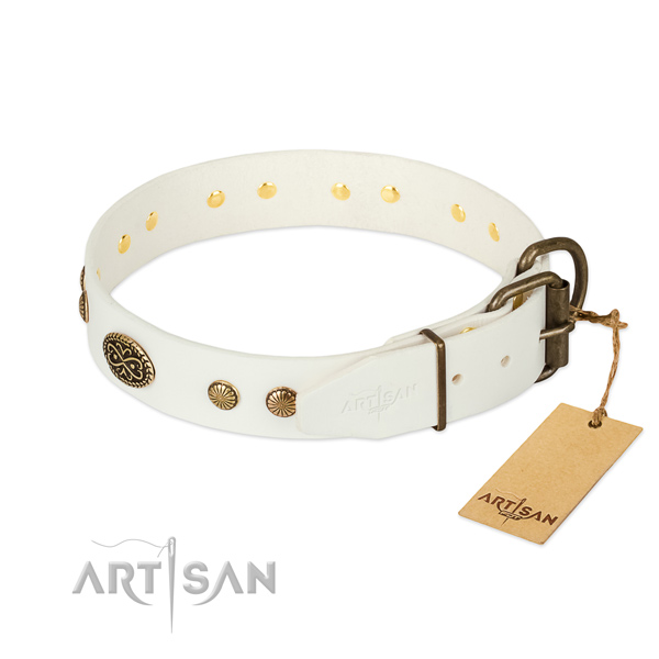 Rust resistant buckle on leather dog collar for your four-legged friend