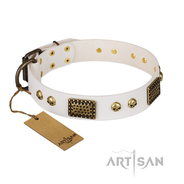 Rust-proof D-ring on everyday walking dog collar
